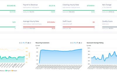 Cleaning Business Direct Payroll to Revenue Predicts Success